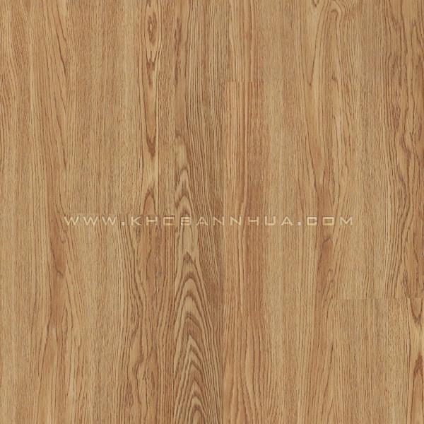 Wellmark Spc 8025